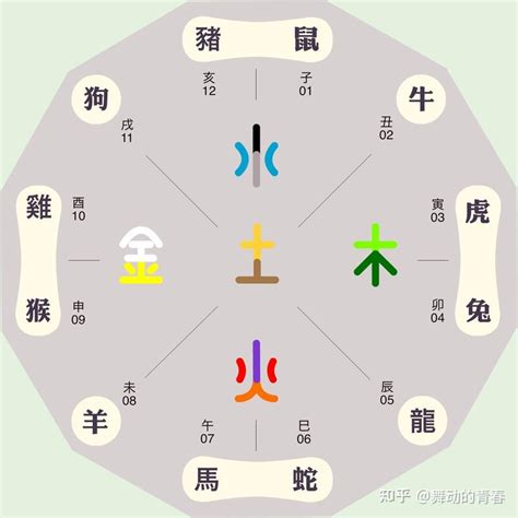 時辰 五行|十二时辰怎么对应五行